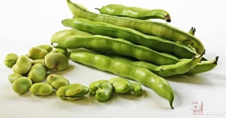 Kozmetik ürünlerini çöpe attıracak... İbn-i Sina'dan 10 yaş gençleştiren reçete! 9