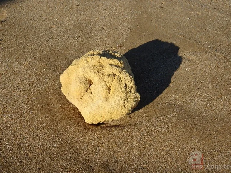 Yürüyüşe çıktı hayatı değişti! Değeri dudak uçuklattı 1