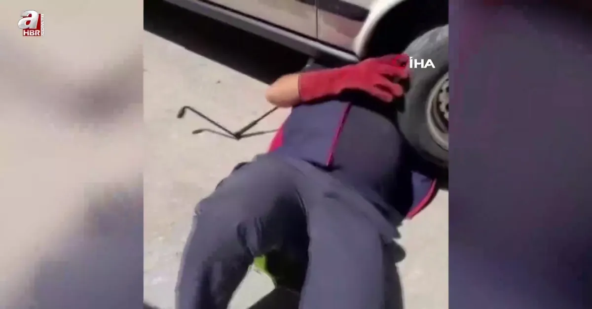 Aracın motoruna giren yavru kediyi itfaiye ekipleri kurtardı
