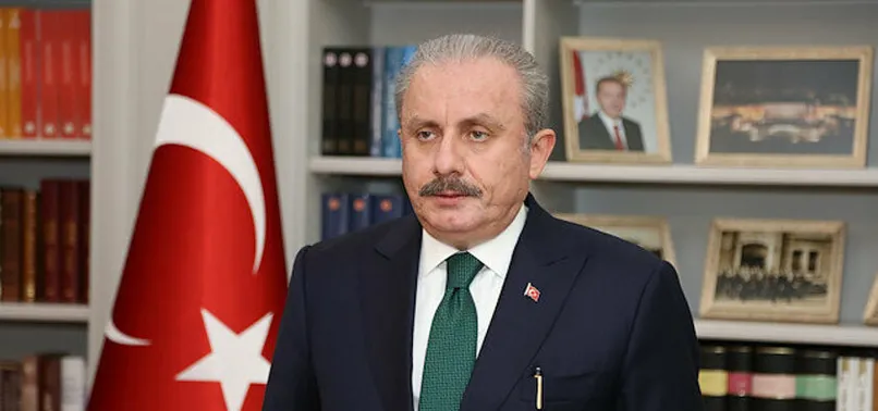 Son dakika: Güvenlik soruşturması gerilimi! TBMM Başkanı Şentop: Sorun olduğunu gördüğümde gereğini yaparım