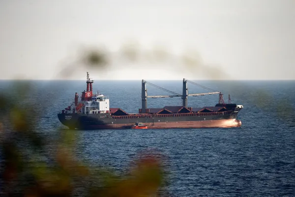 Tahıl sevkiyatında gemiler yola çıktı! Milli Savunma Bakanlığı’ndan son dakika açıklaması