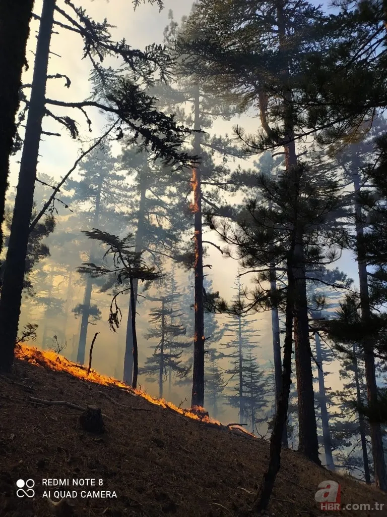 Adana’da çıkan orman yangını kontrol altına alındı 4