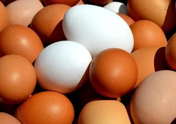 Resmi Gazete'de yayımlandı! Sofralık yumurta ihracatına muafiyet düzenlemesi