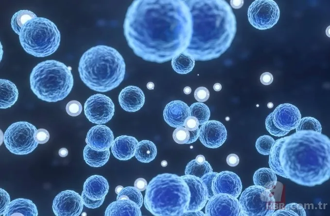 Koronavirüsten sonra dünyayı bekleyen tehlike! Bilim insanlarının araştırması korkuttu: Et yiyen mikroplar 5