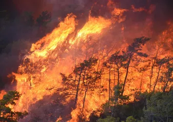 Alev kapanı Marmaris'i sardı! Uydu görüntüsü felaketi gözler önüne serdi