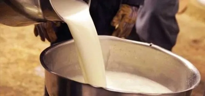 Üretici çiğ süt fiyatındaki artıştan memnun