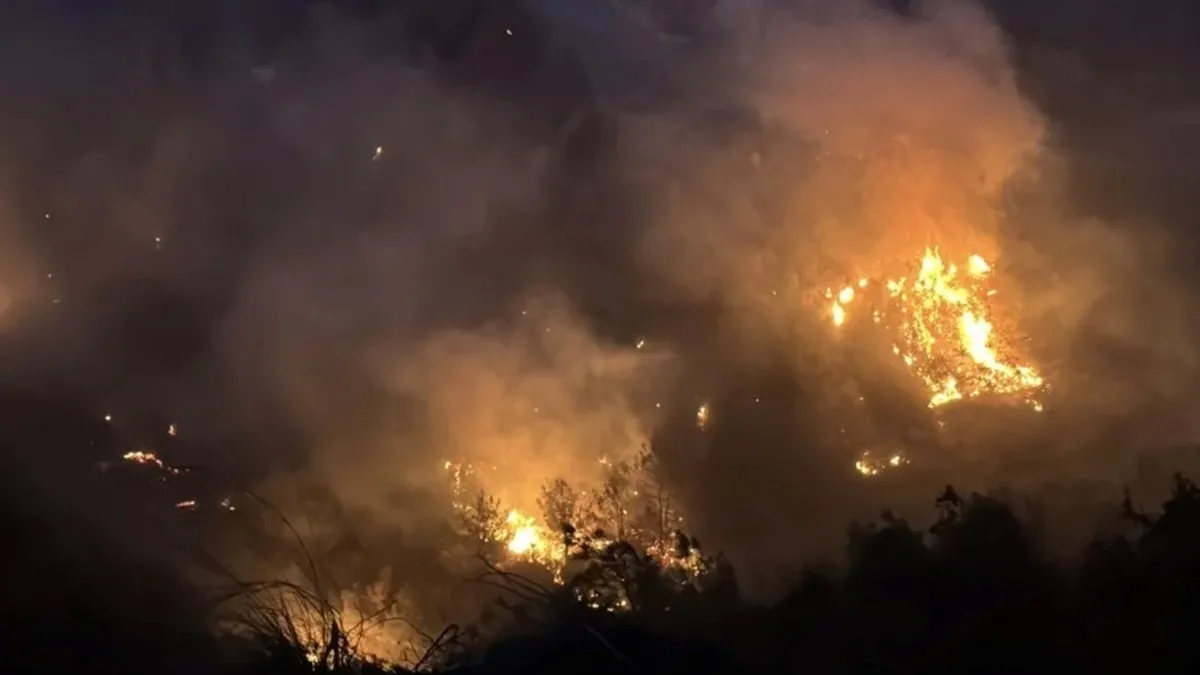 Hatay'da ormanlık alanda çıkan yangın söndürüldü