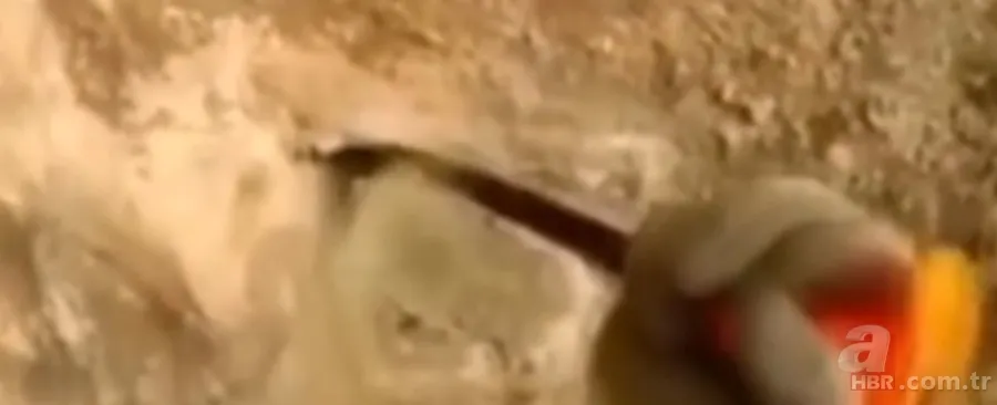 ''Defineyi koruyan yılan'' efsanesi gerçek oldu! Taş kesilmiş yılanın hikayesi ürküttü 1