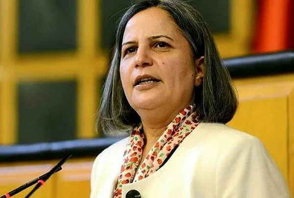 HDP’lilerin dağ kadrosundaki faaliyetlerini tek tek anlattılar!