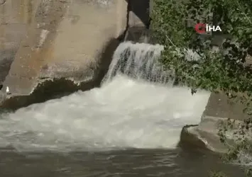Kars’ta balıkların ‘ölüm’ göçü