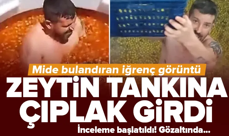 Zeytin tankına çıplak girdi! İğrenç görüntüler! Sosyal medyada infial yaratan anlar...