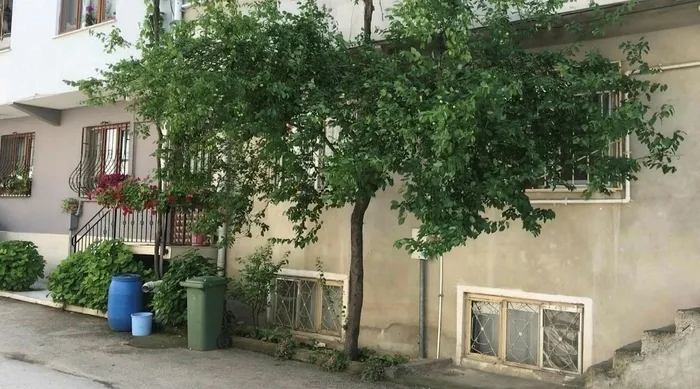 1714918998623.jpeg Bursa'da başıboş köpek dehşeti! 3 çocuğa saldırdı | O anlar kamerada - 3