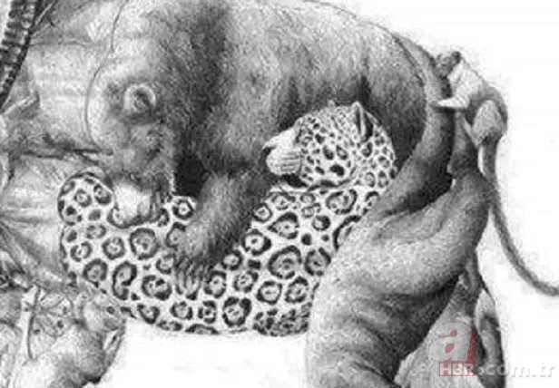 Zeka testi: Resimde kaç hayvan var? 30 saniyede bulamayanlar eleniyor 4