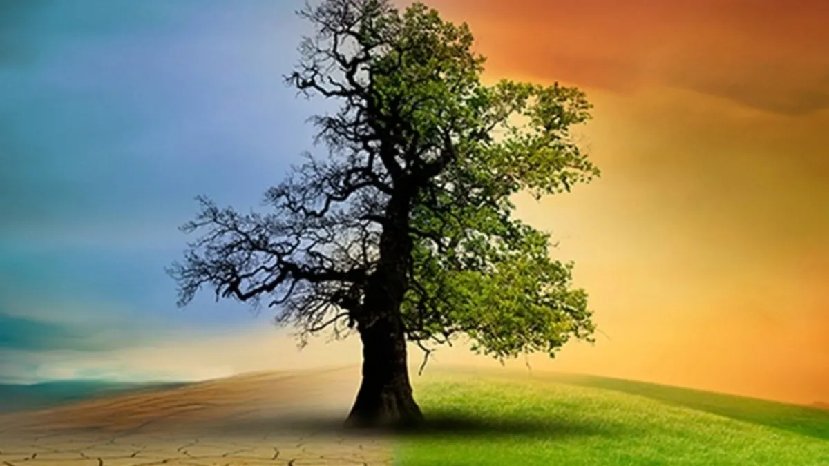 Türkiye'nin ilk İklim Kanunu yürürlükte!