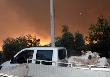 Muğla Köyceğiz’de 5 mahalle tahliye edildi