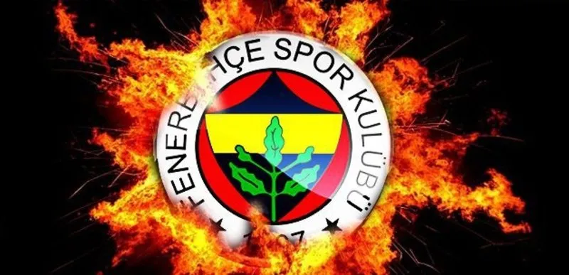 Iste Fenerbahce Nin Yeni Golcusu A Haber Son Dakika Spor Haberleri