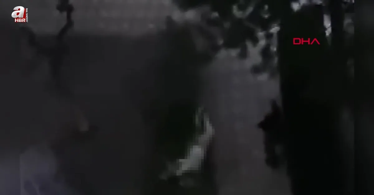14'üncü kattan düşen Şeyma öldü