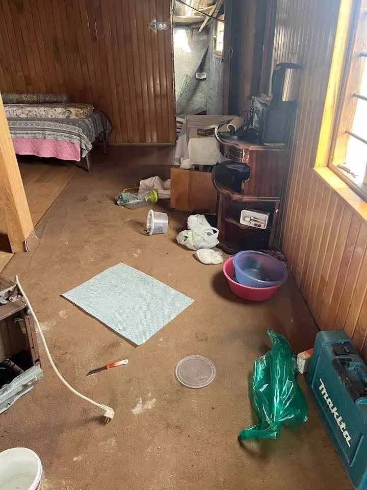 Kış uykusu bitti, ayı istilası başladı Doğu Karadeniz yaylalarında ayı tehlikesi tırmanıyor - 4