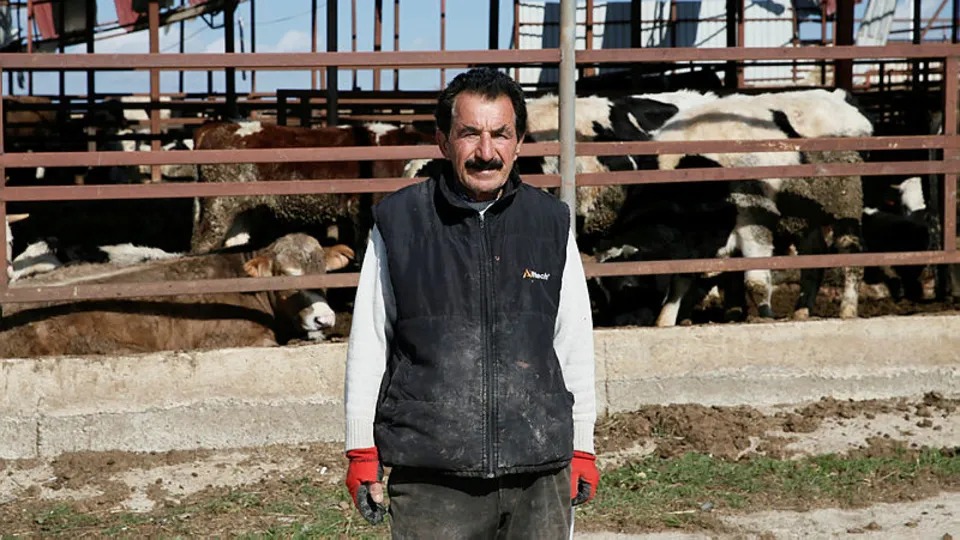 Son dakika: İzmir'de felaket! Yaşlı çoban gördüğü manzara karşısında şoke oldu: Hortum bir anda şimşek gibi geldi