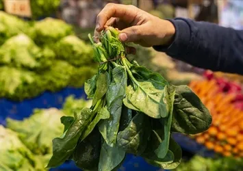 Damar yollarını temizliyor! Muadili yok! En sağlıklı bitki...