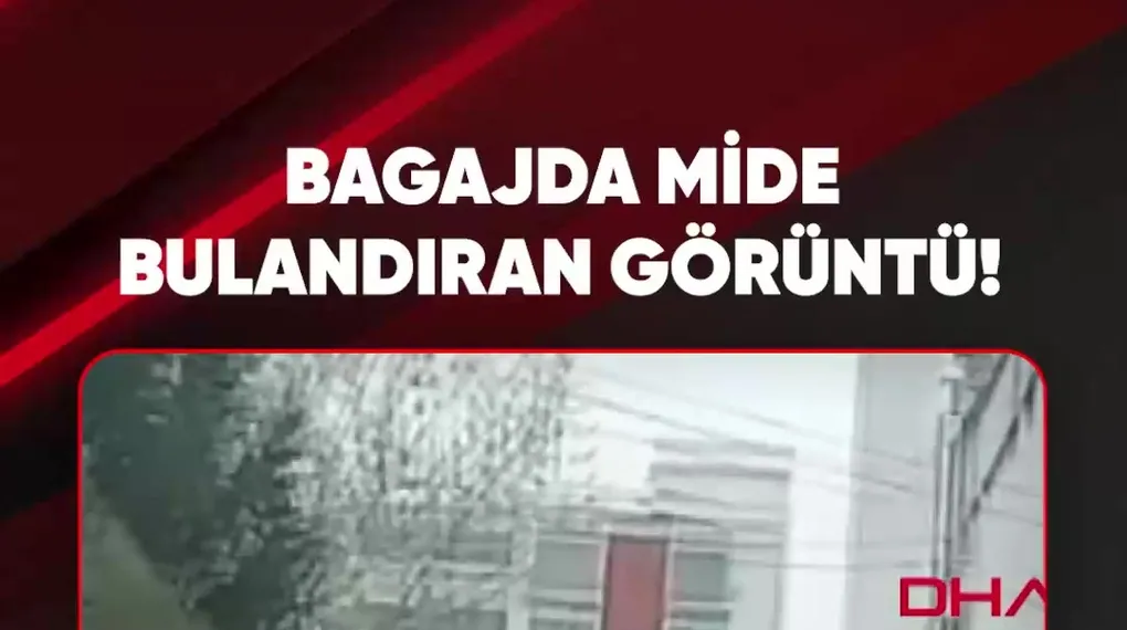 BAGAJDA MİDE BULANDIRAN GÖRÜNTÜ!