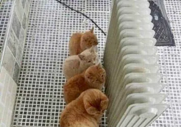 Bu kareler çok paylaşılıyor