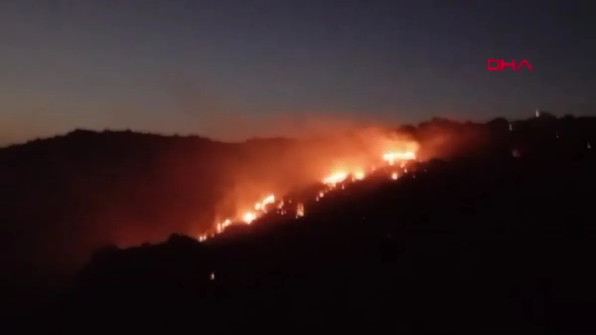 Afyonkarahisar'da orman yangını! Bölgeye çok sayıda ekip sevk edildi