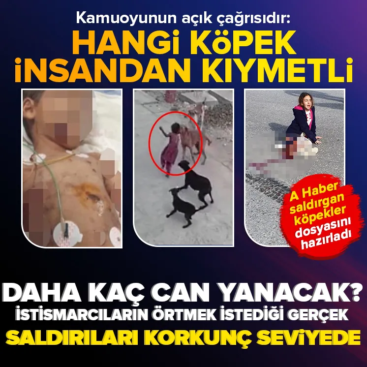 Hayvan istismarcılarının görmek istemediği gerçek