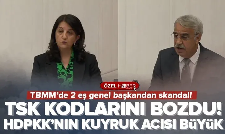 HDP’li Pervin Buldan ve Mithat Sancar’dan skandal sınır ötesi operasyon ve terörist başı Abdullah Öcalan açıklaması
