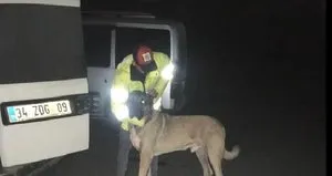 Ormanlık alanda kanlı bahis