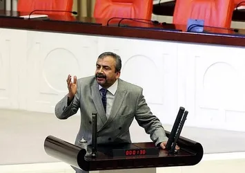 HDP'li Sırrı Süreyya Önder serbest bırakıldı