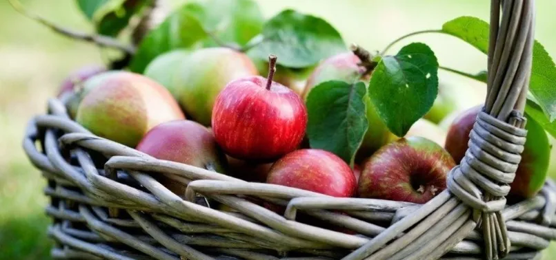 İşte asla yan yana saklamamanız gereken meyve sebzeler...