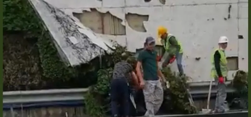 CHP'li İBB Başkanı İmamoğlu dikey bahçe katliamına kaldığı yerden devam ediyor! Hizmet değil ihanet!