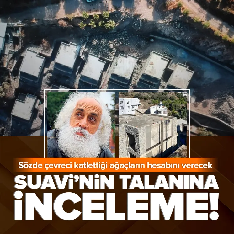 Sözde çevreci Suavinin ağaç katliamına inceleme!
