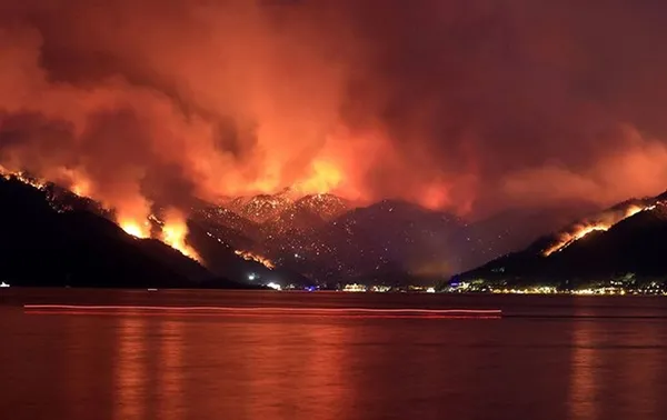 Son dakika: İçişleri Bakanlığından 81 ilin valiliklerine orman yangını uyarısı: Tedbirler tek tek sıralandı - 2