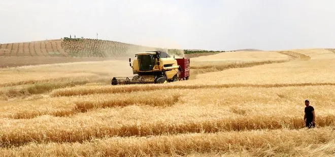 Türkiye’nin tahıl ambarında bu yıl hasat 2,2 milyon ton oldu
