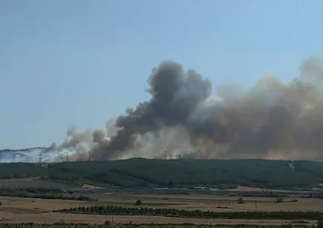 Son dakika: Gelibolu'da korkutan yangın