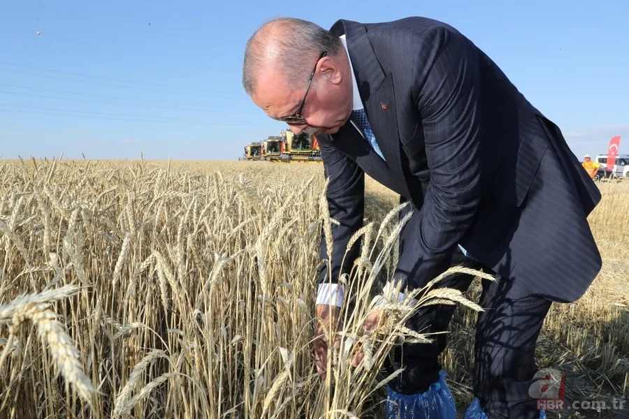 Başkan Erdoğan yerli elektrikli traktörü kullandı 25