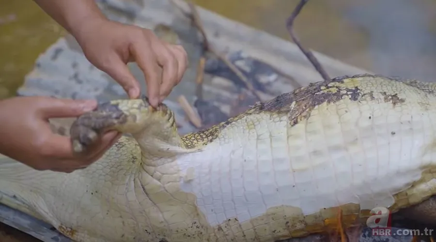 Hayatta kalmak için avladıkları timsahın karnından çıkanlar şoke etti! Mide bulandıran görüntü 16