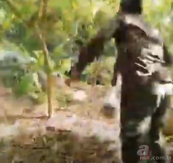 Anakonda ormanda insana saldırdı 🐍 Tam mağaraya götürürken... 10