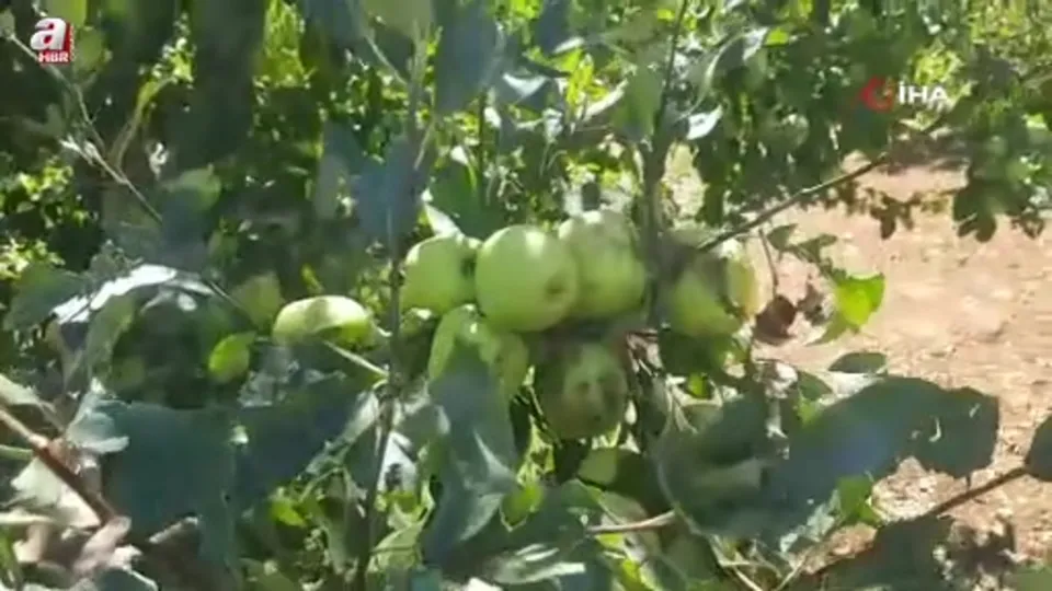 Konya’da dolu etkili oldu