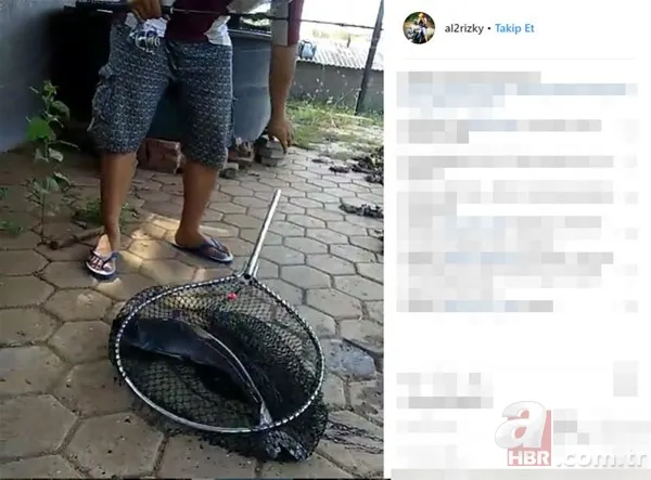 Öyle bir şey tuttu ki... Tam 27 kilo! Bakın ne yaptı? 17