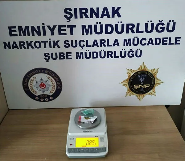 Son dakika: Şırnak'ta kaçakçılık operasyonu: 28 gözaltı - 1