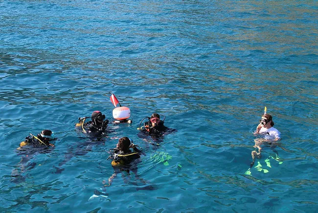 antalya-kiyilarinda-3-yilda-125-batik-bulundu-1615211184586.jpg Antalya kıyılarında 3 yılda 125 batık bulundu - 5