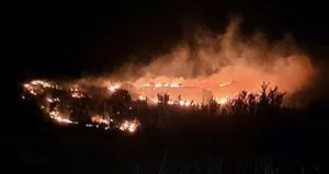 Malatya’da büyük bahçe yangını!