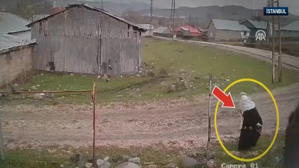 Beykoz sokakları başıboş köpek dolu!