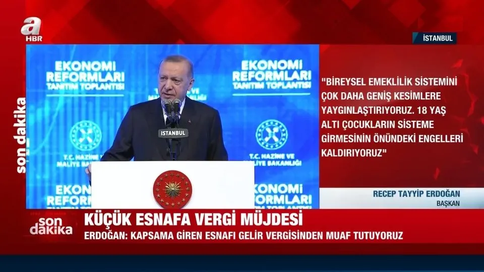 BES’te Bireysel Emeklilik Sistemi yeni gelişme! Başkan Erdoğan canlı yayında duyurdu