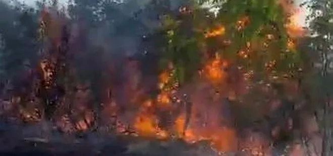 Tekirdağ’da piknik yaparken orman yangınına neden olan 3 kişi tutuklandı