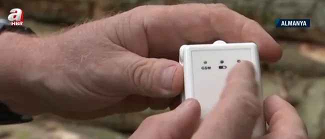 Almanya’da odun hırsızlığı! Çalınmaması için odunlara GPS takıldı