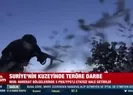 Suriyenin kuzeyinde teröre darbe